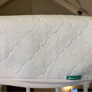 Newton Baby Waterproof Crib Mattress Pad